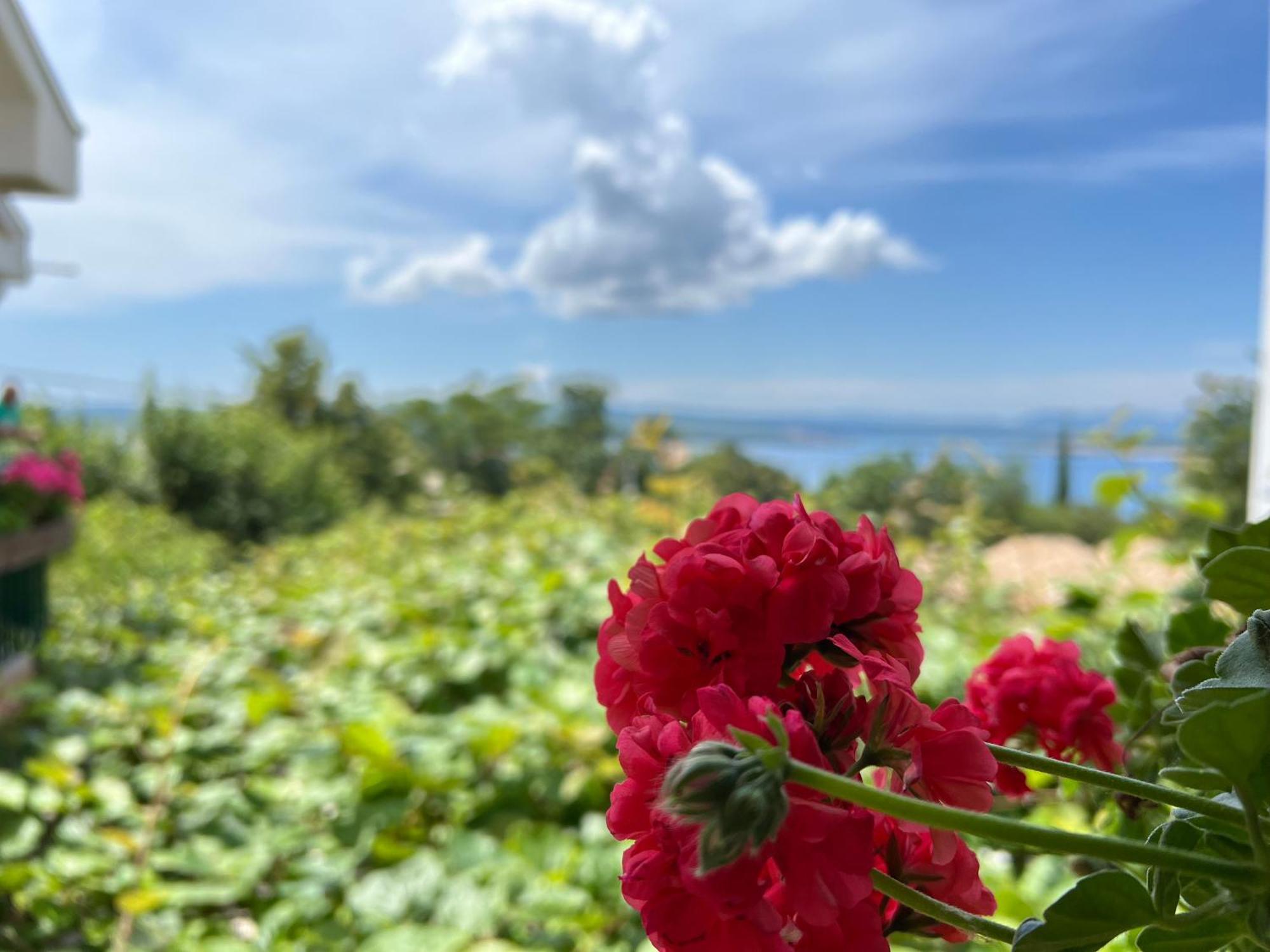 Apartman Ahmicic Crikvenica Εξωτερικό φωτογραφία